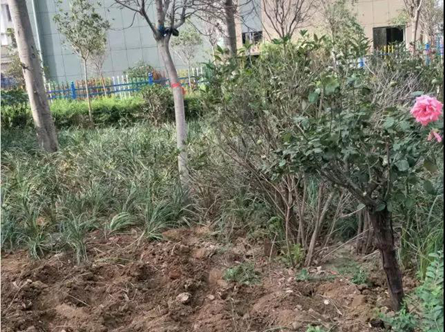 &#20048;&#21160;&#23448;&#26041;&#31471;&#32593;&#39029;&#29256;&#45;&#20048;&#21160;&#40;&#20013;&#22269;&#41;