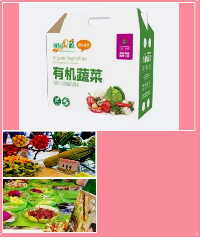 &#20048;&#21160;&#23448;&#26041;&#31471;&#32593;&#39029;&#29256;&#45;&#20048;&#21160;&#40;&#20013;&#22269;&#41;