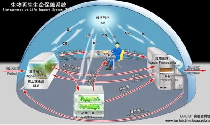 &#20048;&#21160;&#23448;&#26041;&#31471;&#32593;&#39029;&#29256;&#45;&#20048;&#21160;&#40;&#20013;&#22269;&#41;