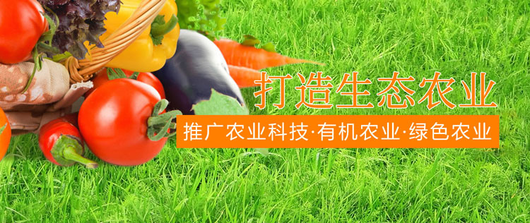 &#20048;&#21160;&#23448;&#26041;&#31471;&#32593;&#39029;&#29256;&#45;&#20048;&#21160;&#40;&#20013;&#22269;&#41;